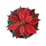 #Select Type_Black Base + Cover Grip