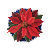 #Select Type_Blue Base + Cover Grip