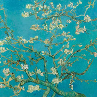 Almond Blossoms