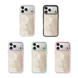 November - Snap Nexus Magnetic Backplate