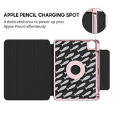 Shoal of Fish - Leather Magnetic iPad Case