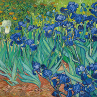 Irises